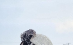 宝贝坐在腿上写作业H